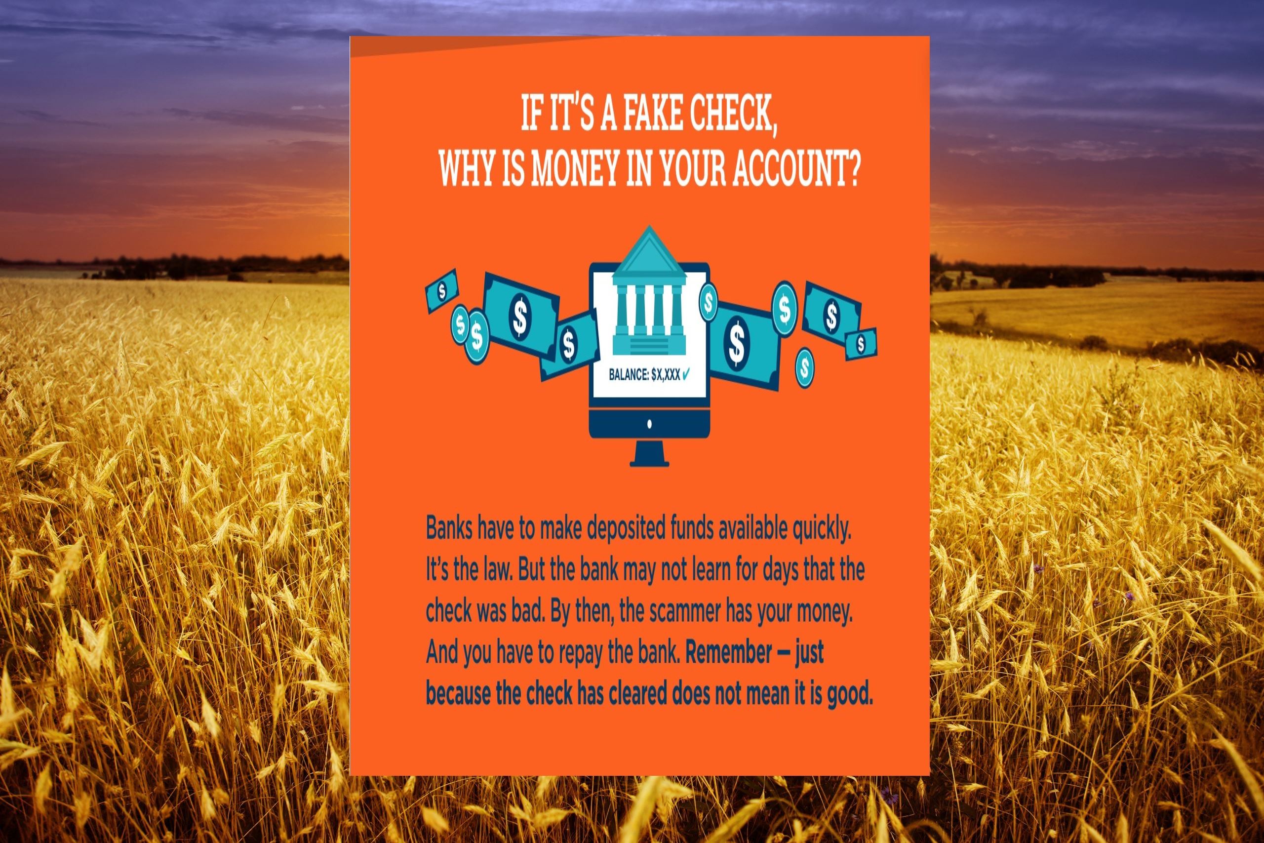 Fake Check Notice