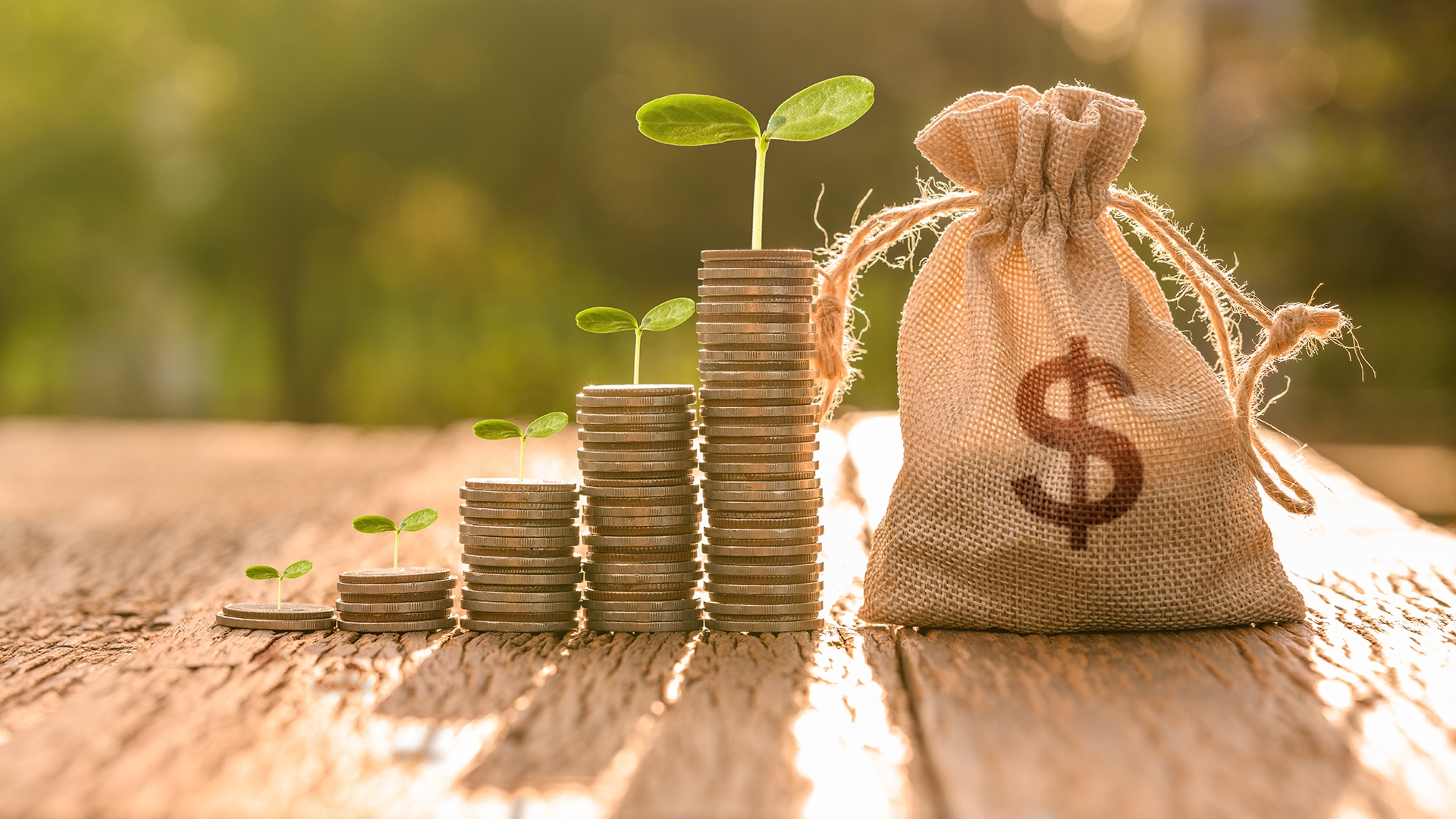 Savings account type