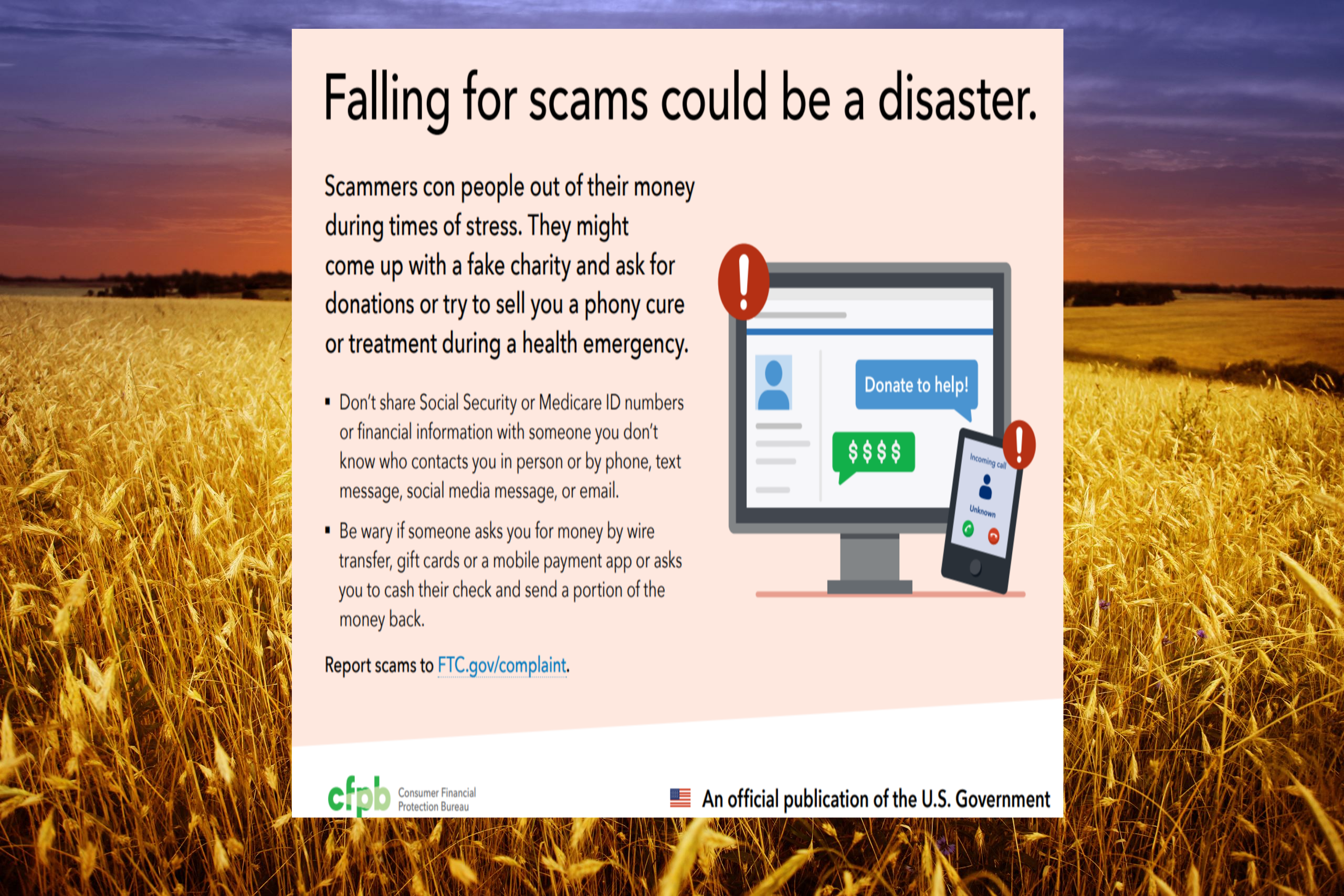 Falling For Scams